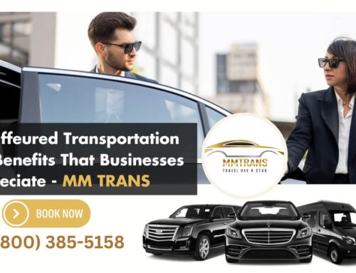 Chauffeured Transportation: The Benefits That Businesses Appreciate